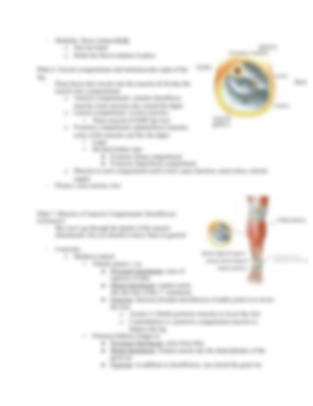 2018-2019 Anat Lecture 8 - Leg, Ankle, Foot.docx_dz00lznrs4s_page4