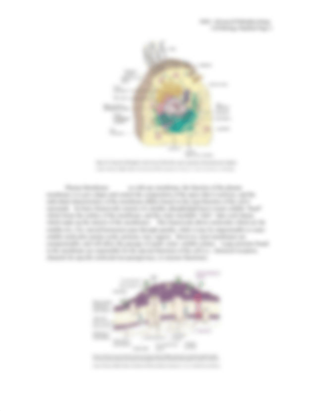 N601_Wk1_HO_CellBio_Genetics.doc_dz02o20ldvr_page2