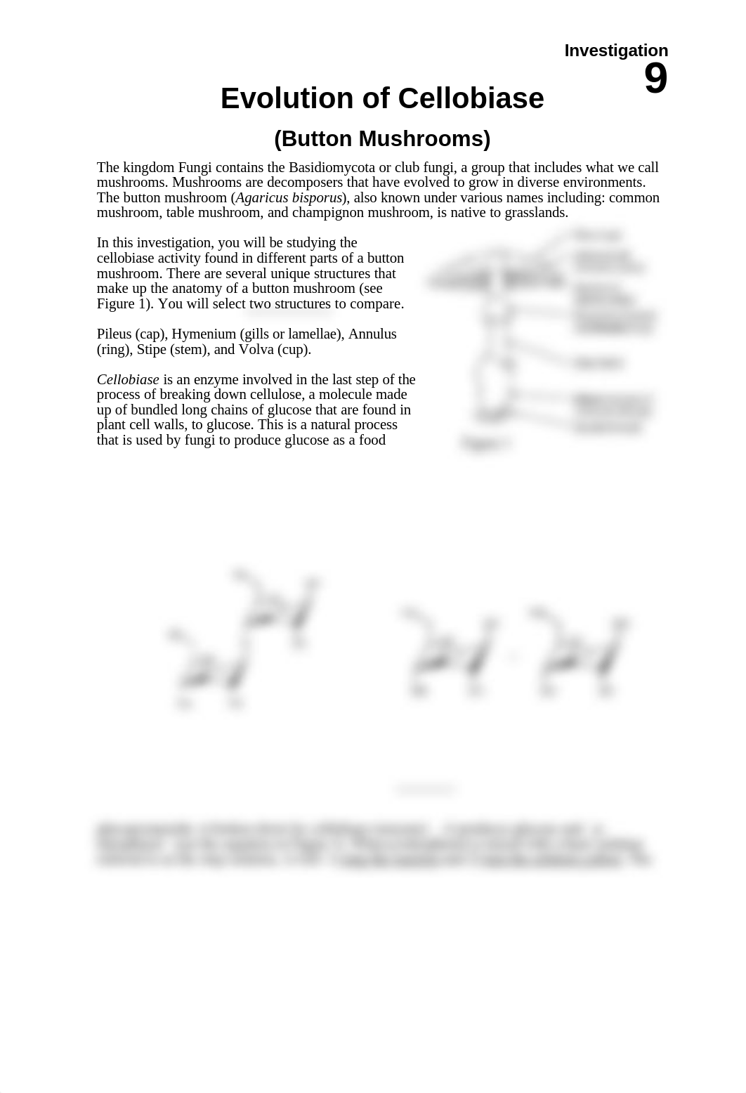 Lab_9 Cellobiase Evolution_Button Mushroom parts_dz031i74xxg_page1