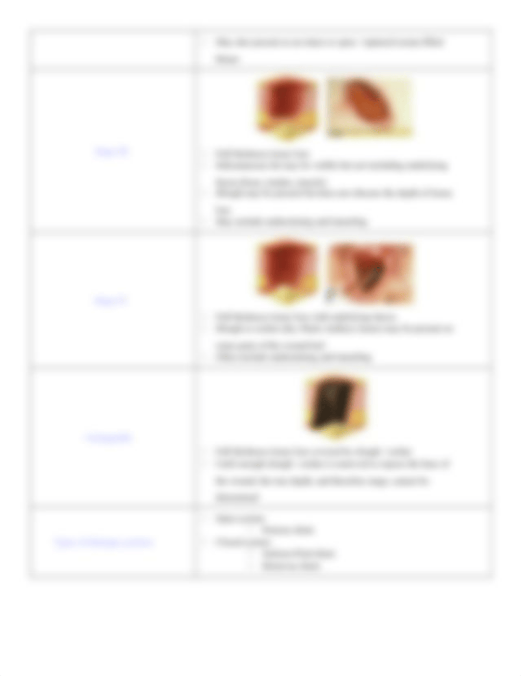 Skin Integrity and Wound Assessment.docx_dz04iuqk9ly_page3