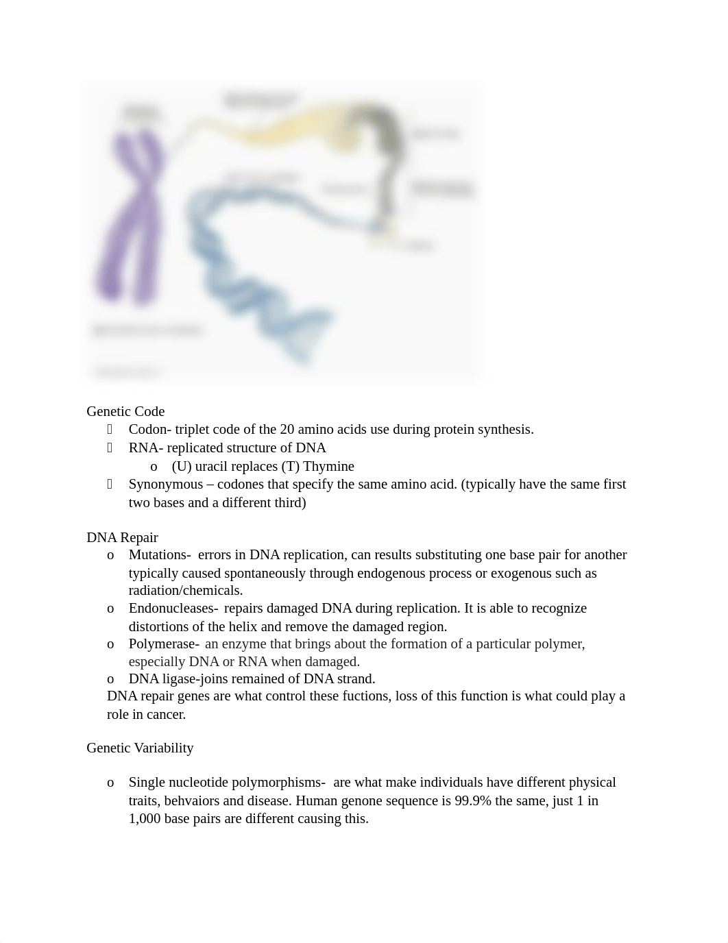 Chapter 5- Genetic Control of Cell Function and Inheritance.docx_dz06rxcb1j1_page2