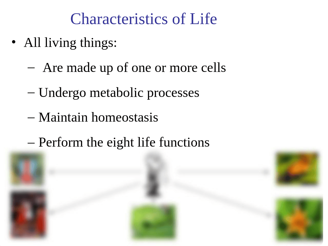 unit 2a - life functions and cell biology powerpoint1.ppt_dz099iy87kx_page3