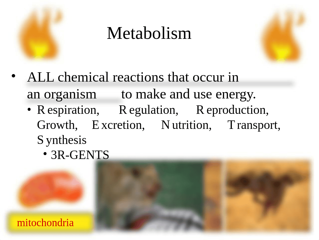 unit 2a - life functions and cell biology powerpoint1.ppt_dz099iy87kx_page4