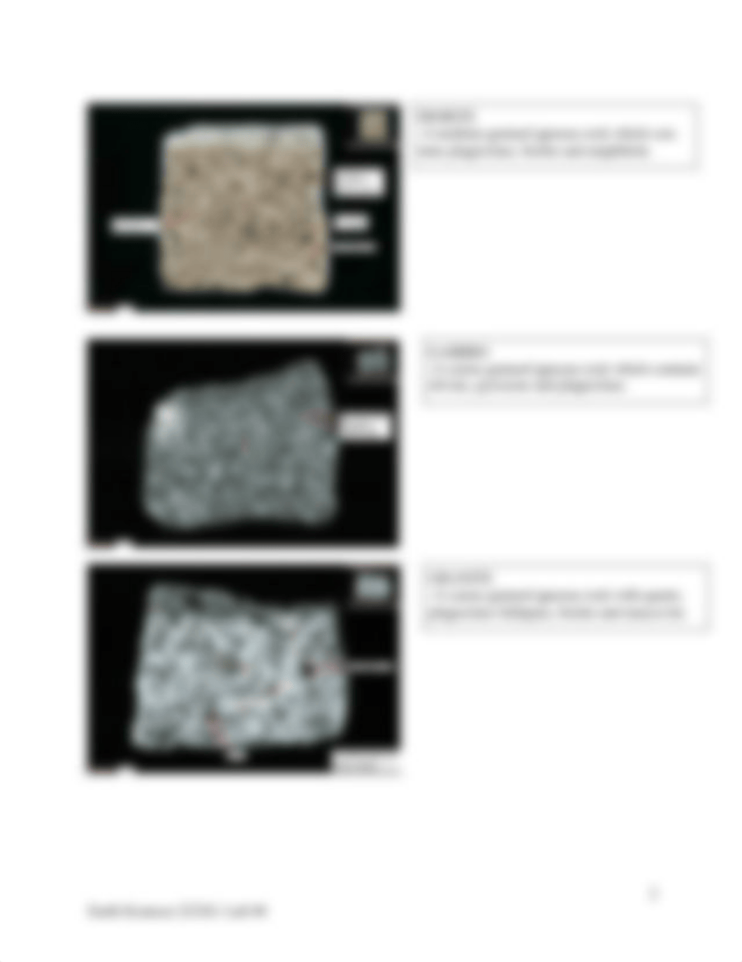 ES 2232-Lab 03-Volcanism.docx_dz09psftklm_page2