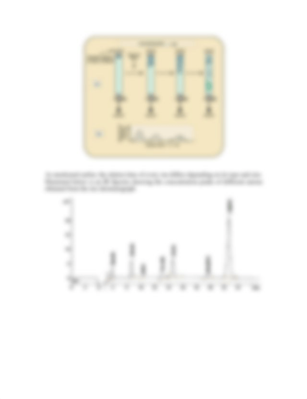 Ion Chromatography copy_dz0oib7gj3i_page2