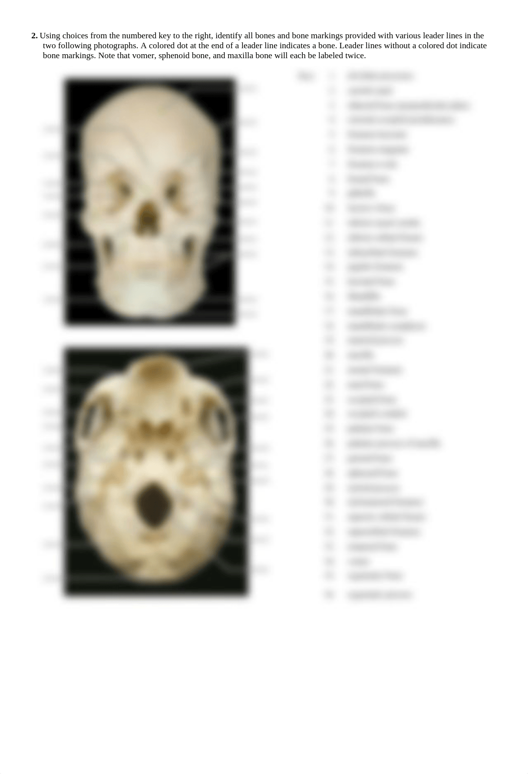 BIO137-Lab-6-7-Review-The Axial Skeleton.pdf_dz0ov9z6y9o_page2