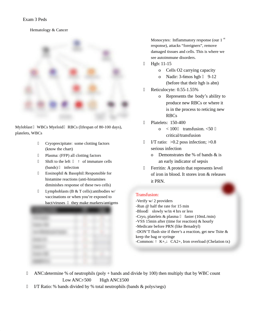 Exam 3.pdf_dz0rykpfgco_page1