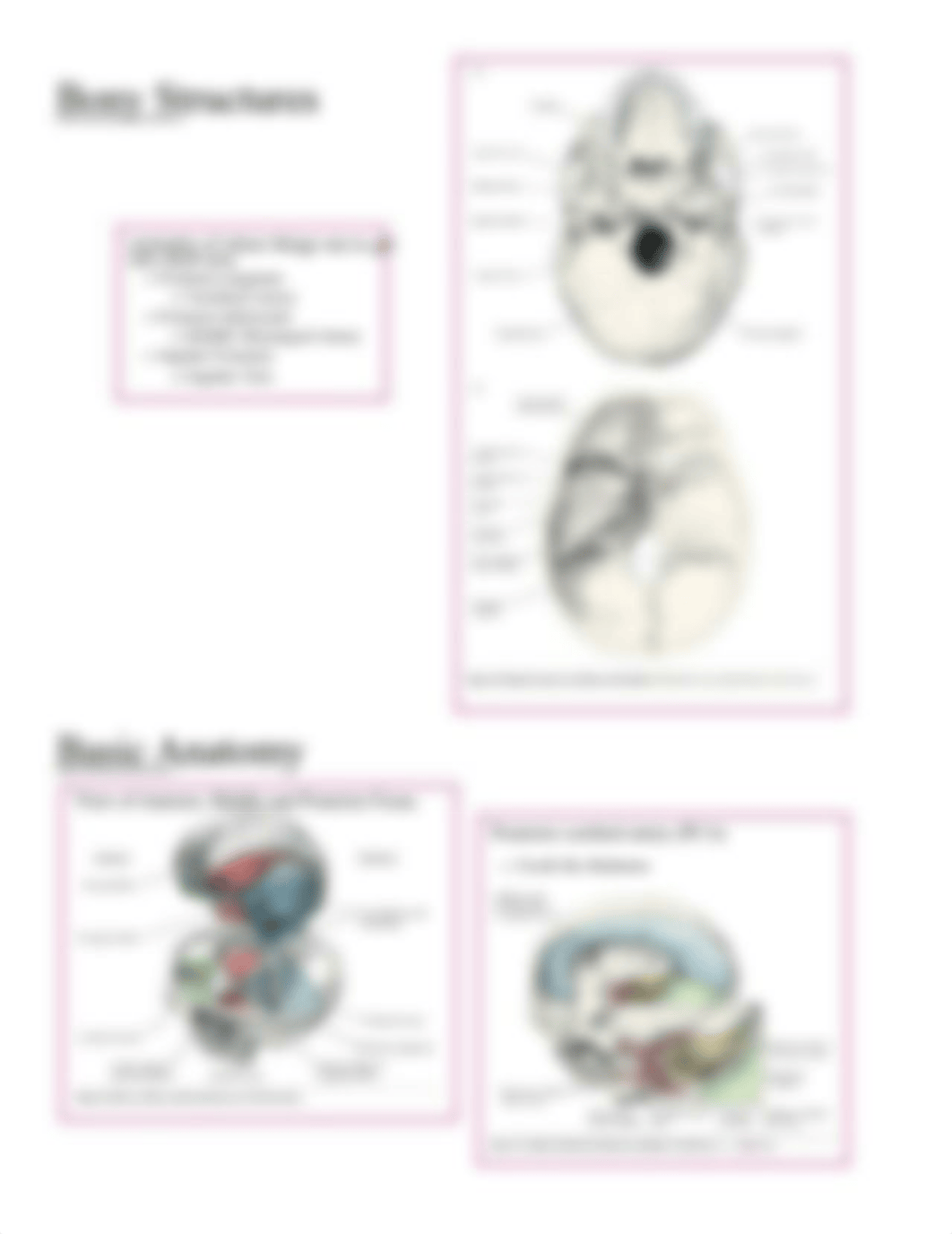 Neuro Exam 2 - Unit 5-7 Study Guide-.pdf_dz13mrth6w0_page3