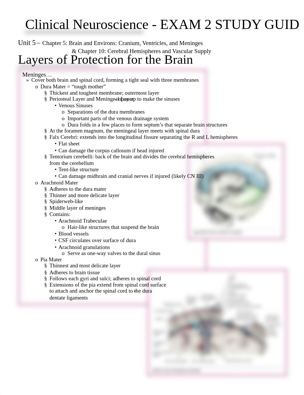 Neuro Exam 2 - Unit 5-7 Study Guide-.pdf_dz13mrth6w0_page1