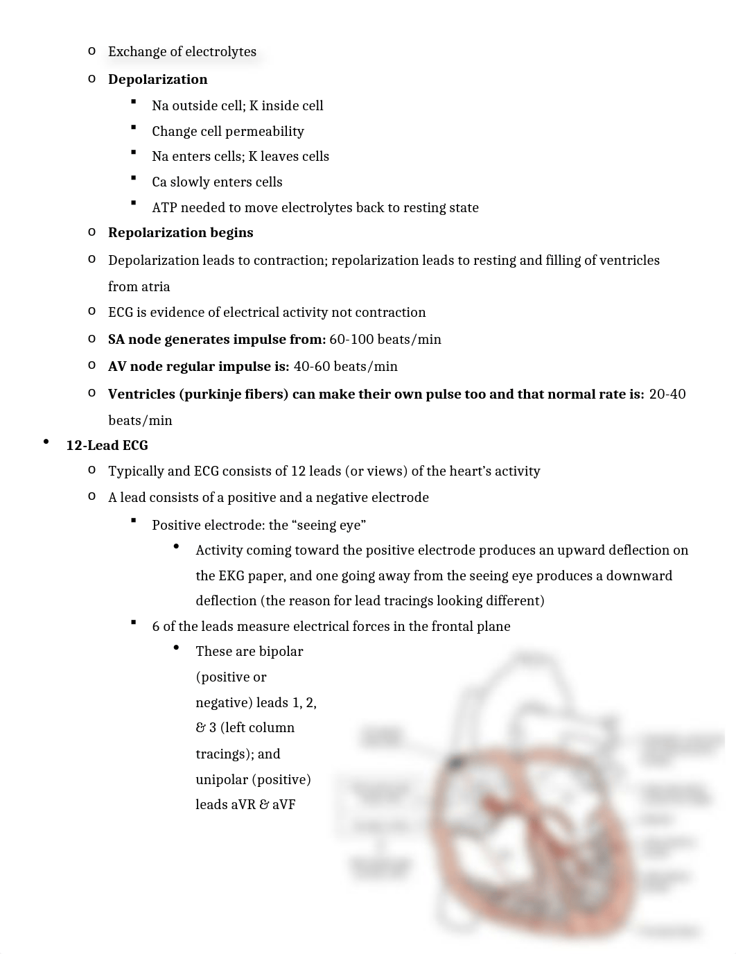 Med Surg 2 Exam 1 Cardiovascular Study Guide .docx_dz14cqye61w_page2