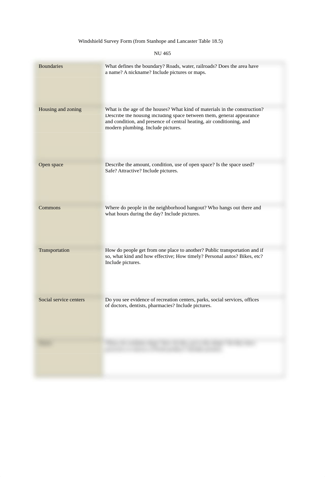 Windshield Survey Form (2).docx_dz1cy0td15e_page1