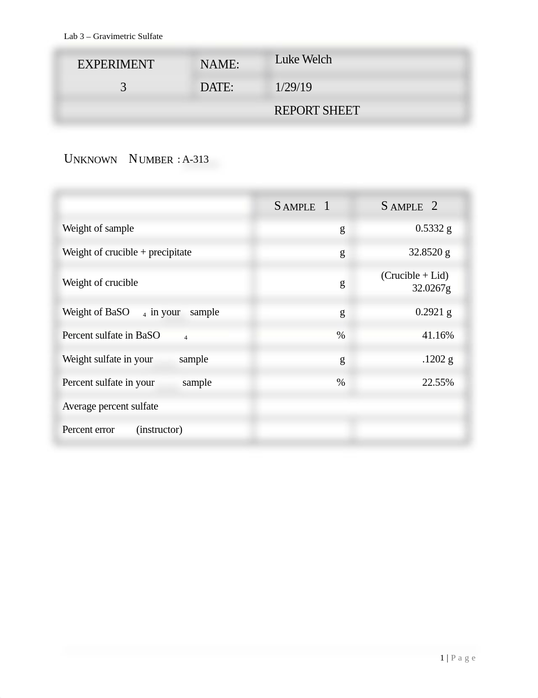 Report Sheet.docx_dz1v8kv4sk5_page1