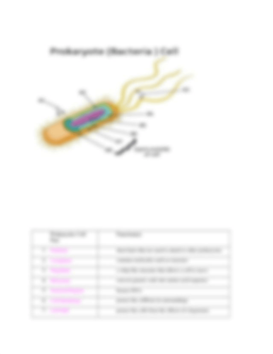 bio 111 p1.docx_dz1x6ckcptx_page2