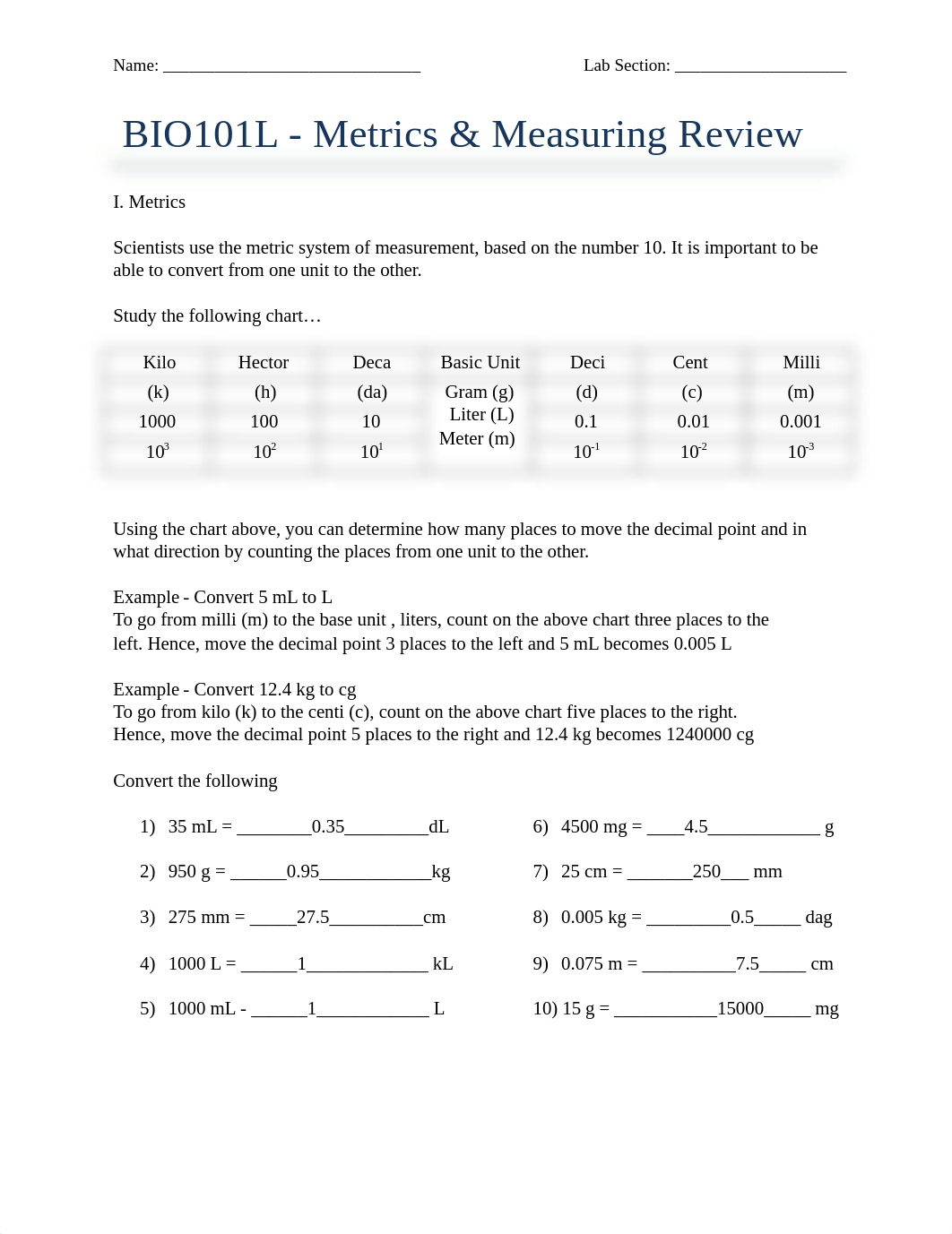 Metrics for online lab.docx_dz24j745iv1_page1