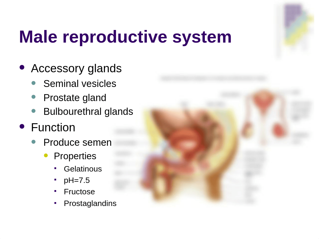 Bio 260 Reproductive System_dz28uuss352_page5