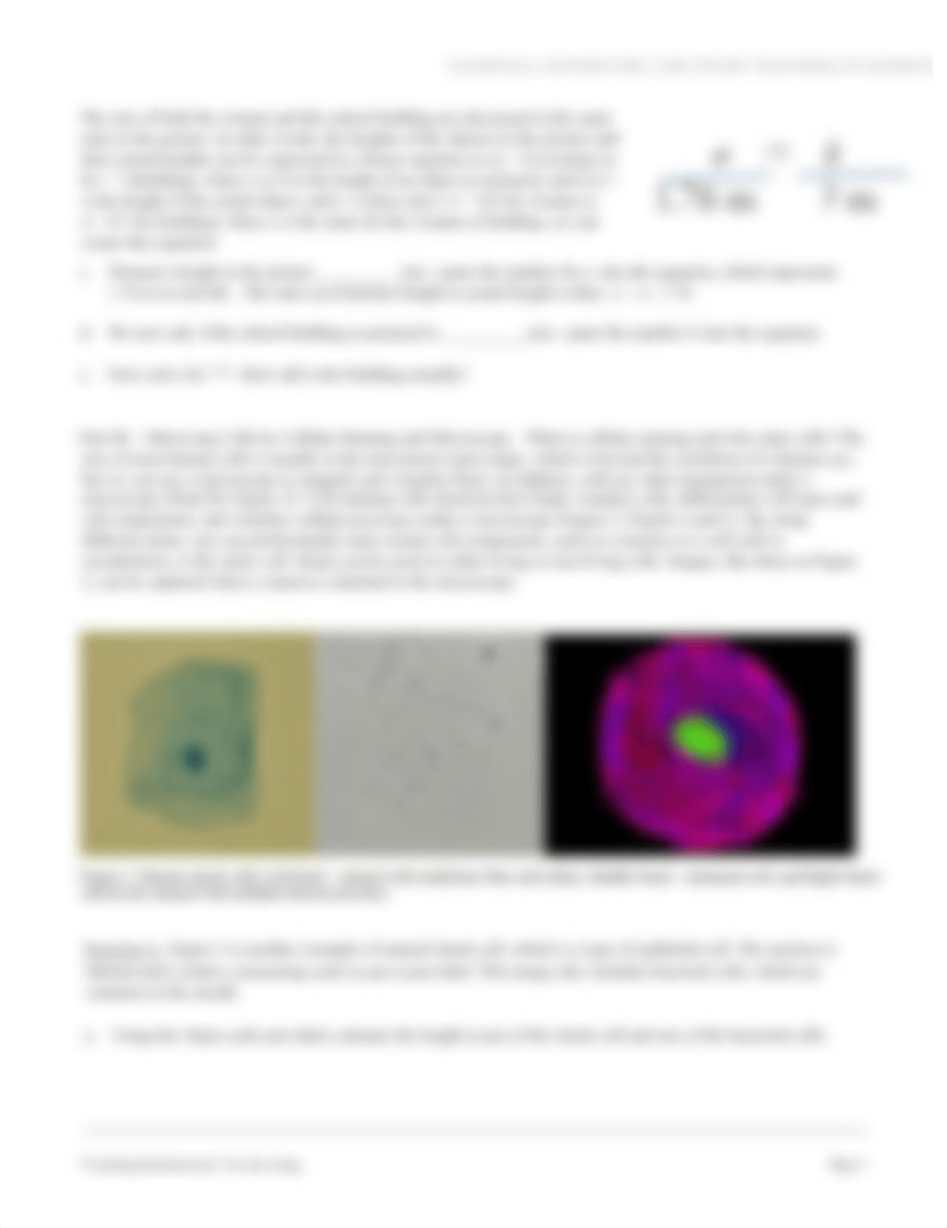 Week 1 - online  microscopy lab - dry lab spring 2021.pdf_dz29glp3cyh_page3