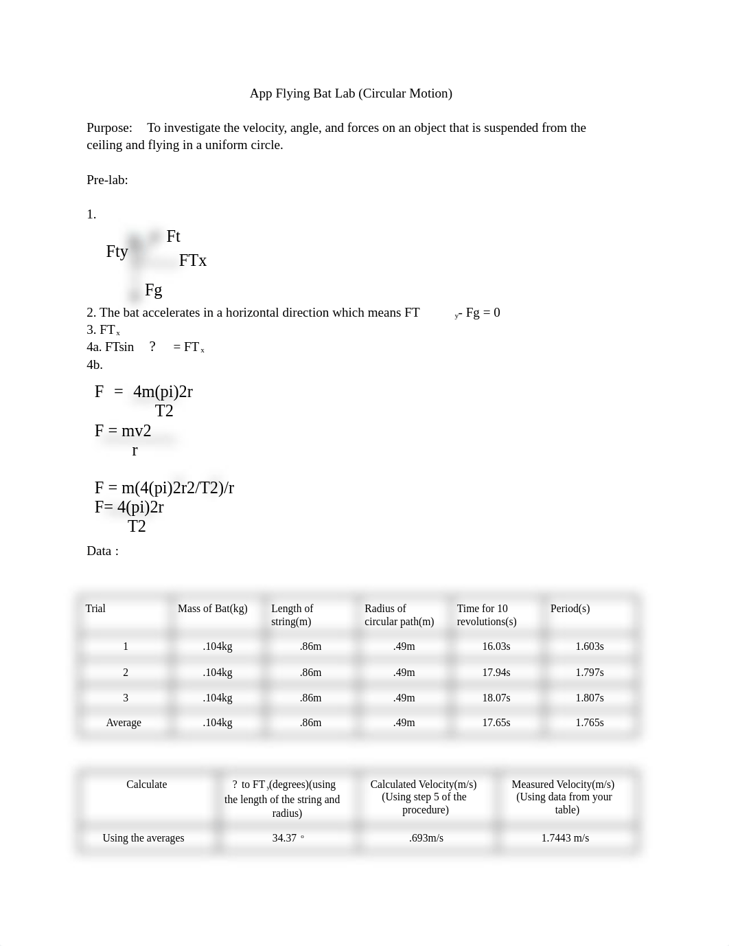 App Flying Bat Lab (Circular Motion).docx_dz2c5yqdkc7_page1