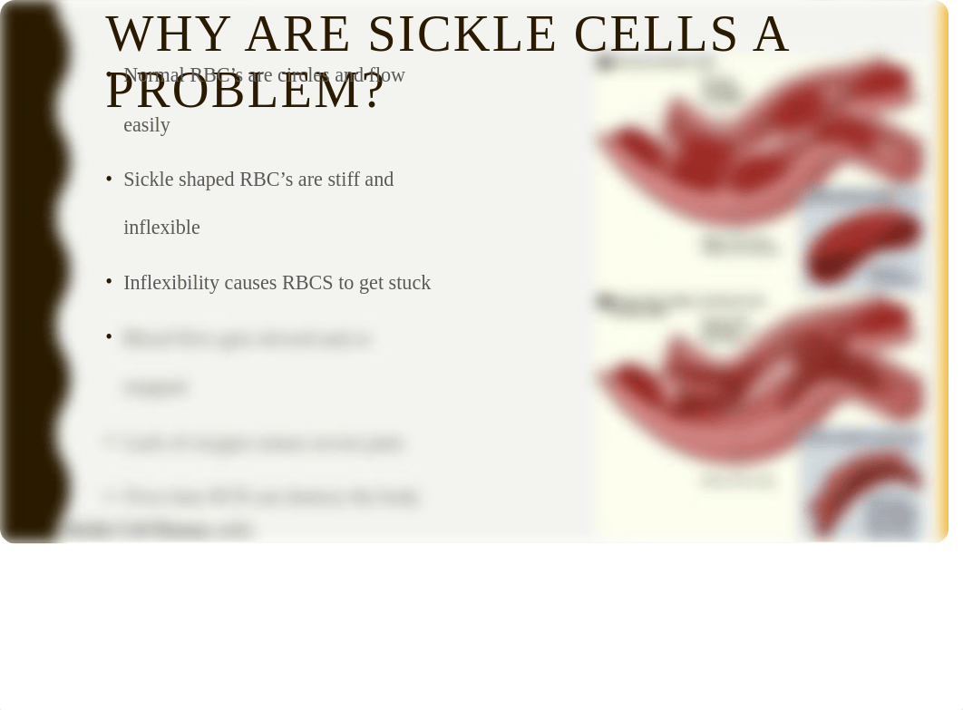 NUR300_Sickle_Cell_Disease(self-managment).pptx_dz2e91mh3mq_page4