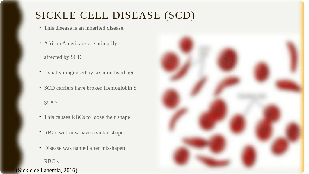 NUR300_Sickle_Cell_Disease(self-managment).pptx_dz2e91mh3mq_page3