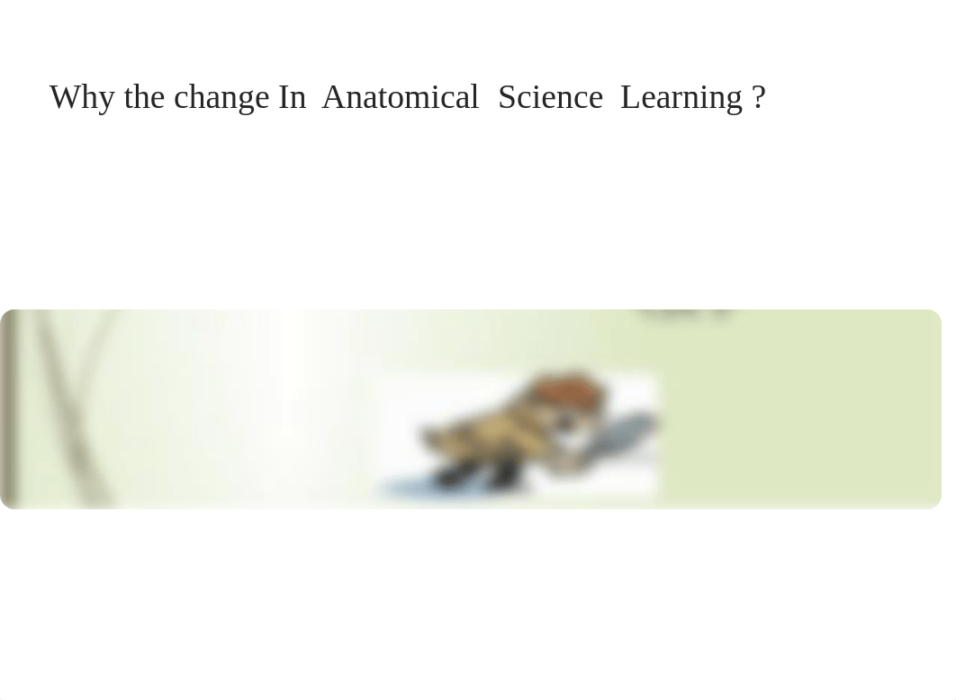 Effective Modules for Teaching Anatomy in the  21st   Century  Professor  Sheila  Wicks  Aug 10 2019_dz2frec80h6_page4