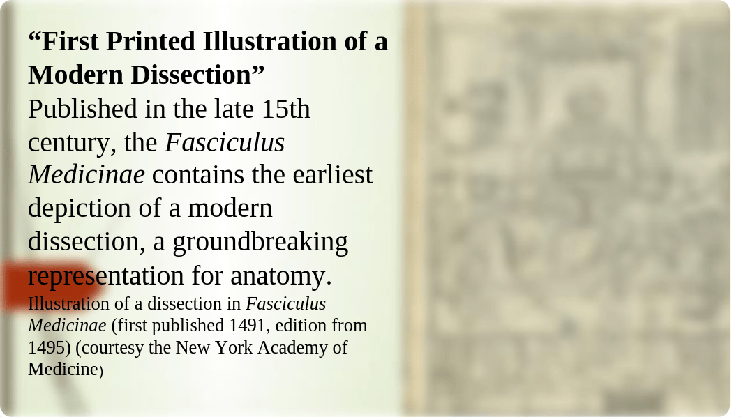 Effective Modules for Teaching Anatomy in the  21st   Century  Professor  Sheila  Wicks  Aug 10 2019_dz2frec80h6_page2