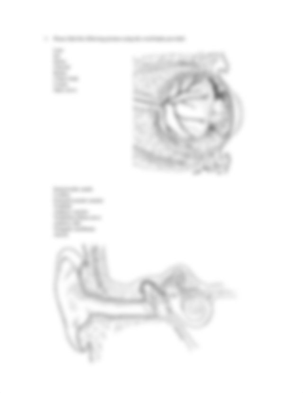 Worksheet 2.4(1).docx_dz2l61cmxdf_page2