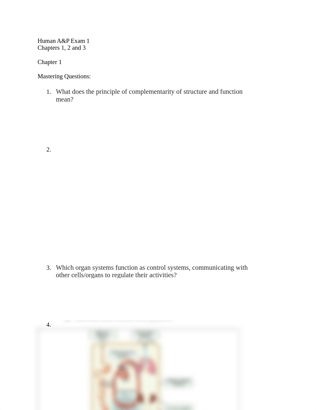 HumanAPExam1.docx_dz2rnprjh6m_page1