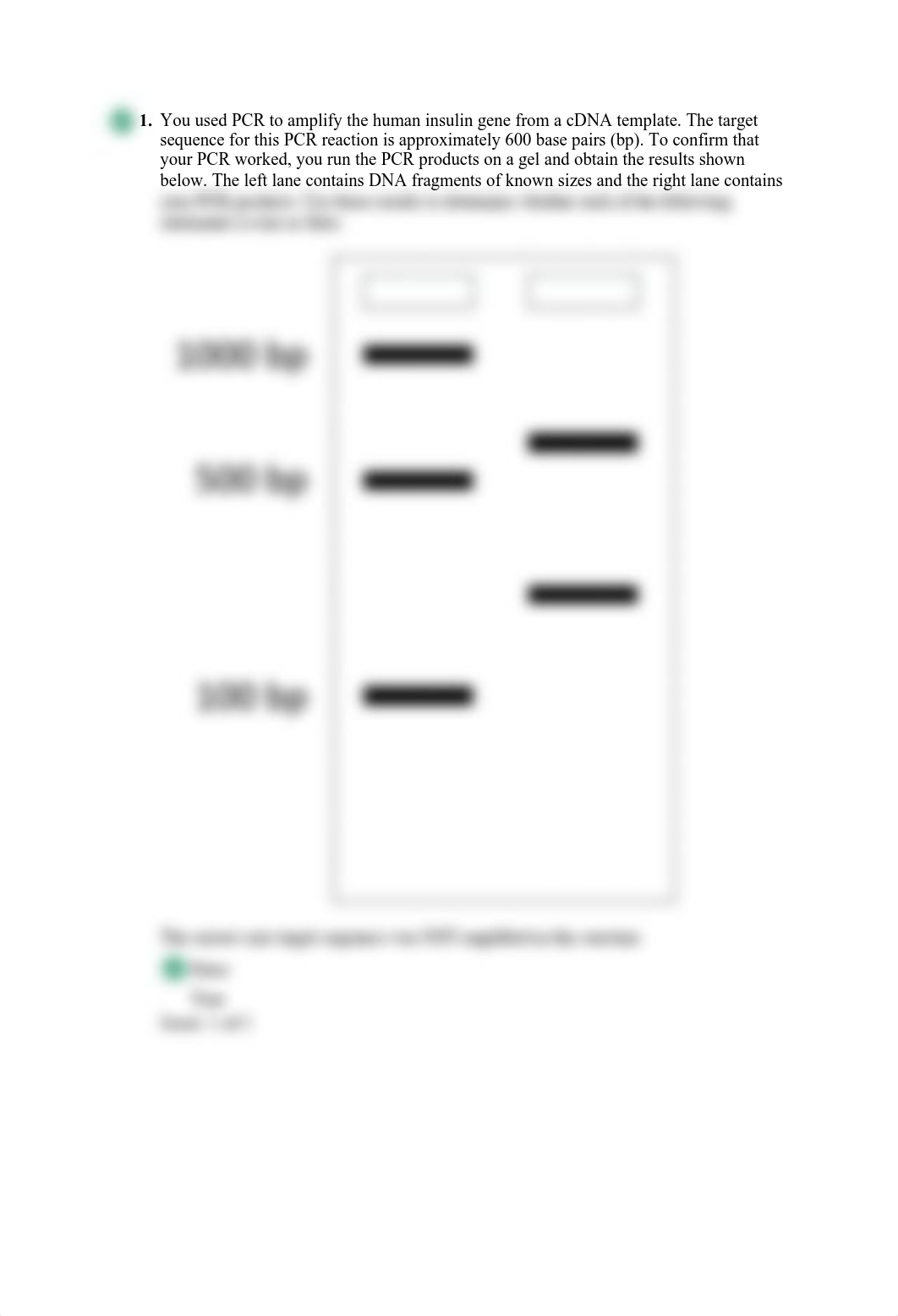 PCR PEQS 1.pdf_dz2rw51gq2g_page1