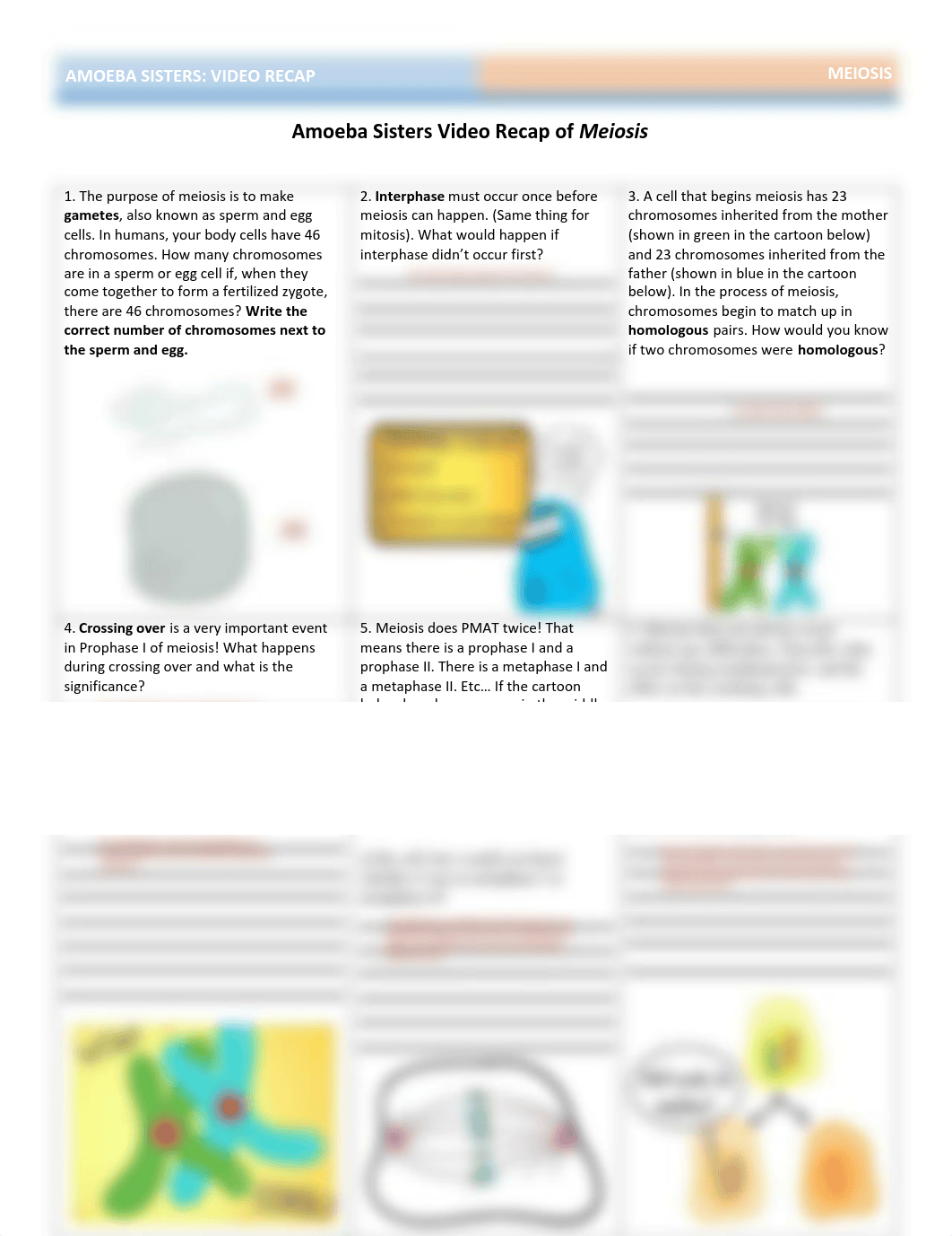 video_recap_of_meiosis_by_amoeba_sisters_updated_pictures.pdf_dz35pey2syk_page1