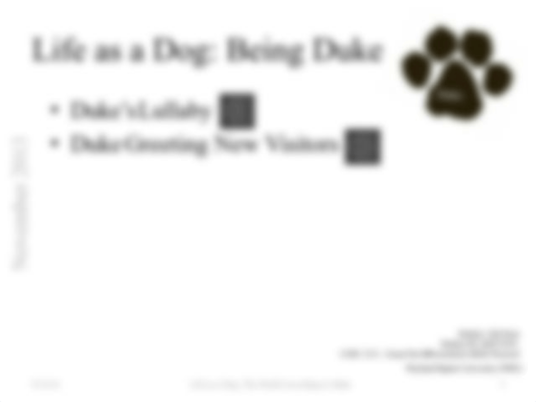 Hal Stein_Presentation Test_Life as a Dog_231113_dz39vosmnp3_page5