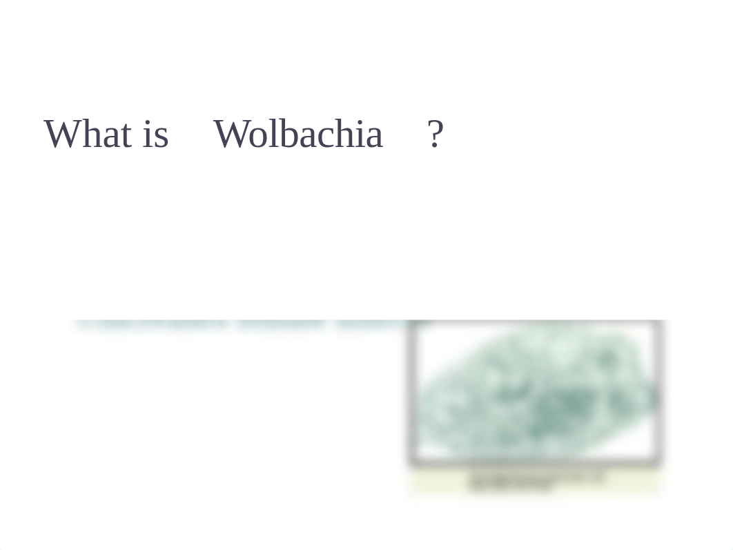 Alexis Payne-wolbachia pp.pptx_dz3b3sfrsy2_page2