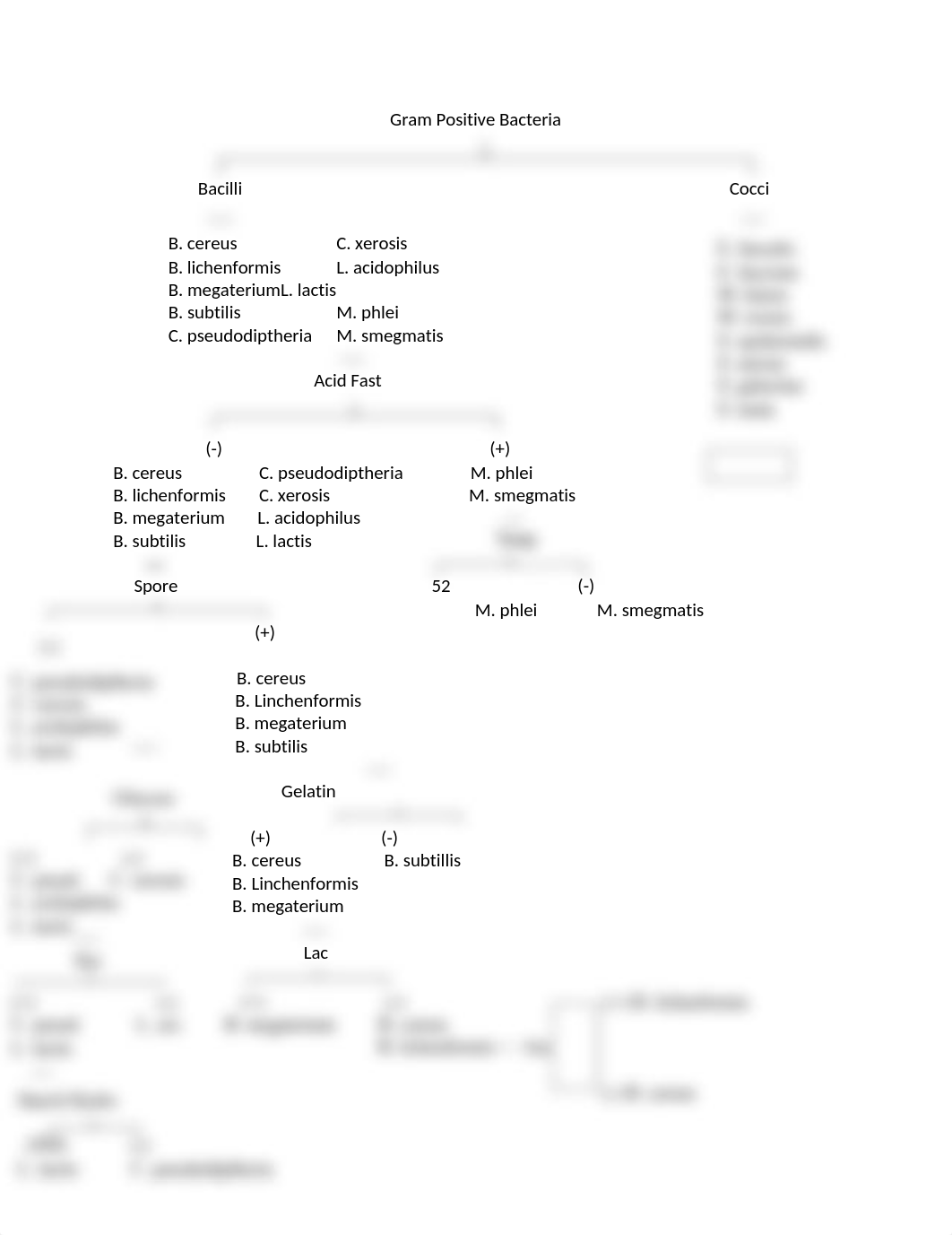 Gram Positive Bacteria Dichotomous Key.docx_dz3d37l6nll_page1