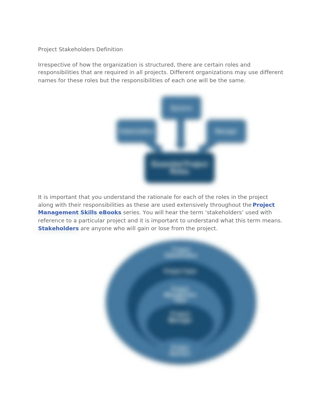 Project Stakeholders Definition.docx_dz3kgjxgws2_page1