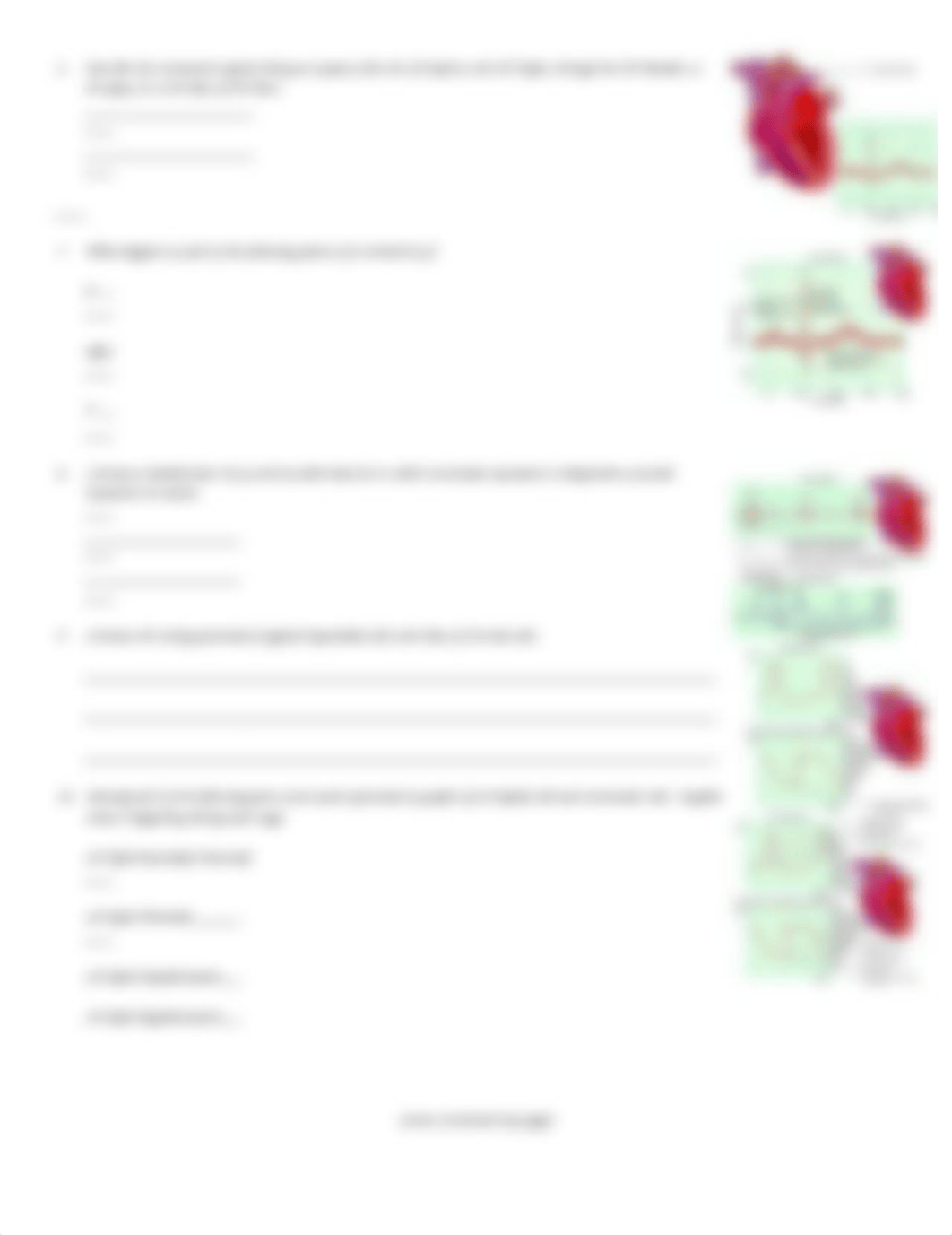 anim_cardiac_conduction_worksheet_dz48b3h891i_page2