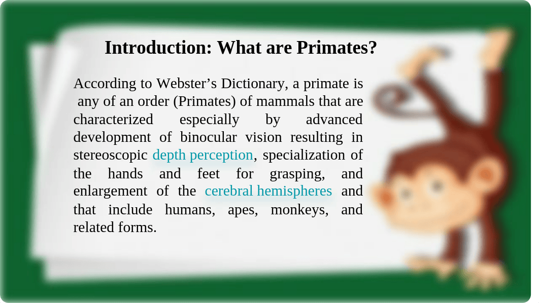 LA Zoo Primate Research Project PowerPoint Presentation (1).pptx_dz49ql3eet9_page4