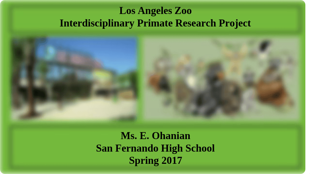 LA Zoo Primate Research Project PowerPoint Presentation (1).pptx_dz49ql3eet9_page1