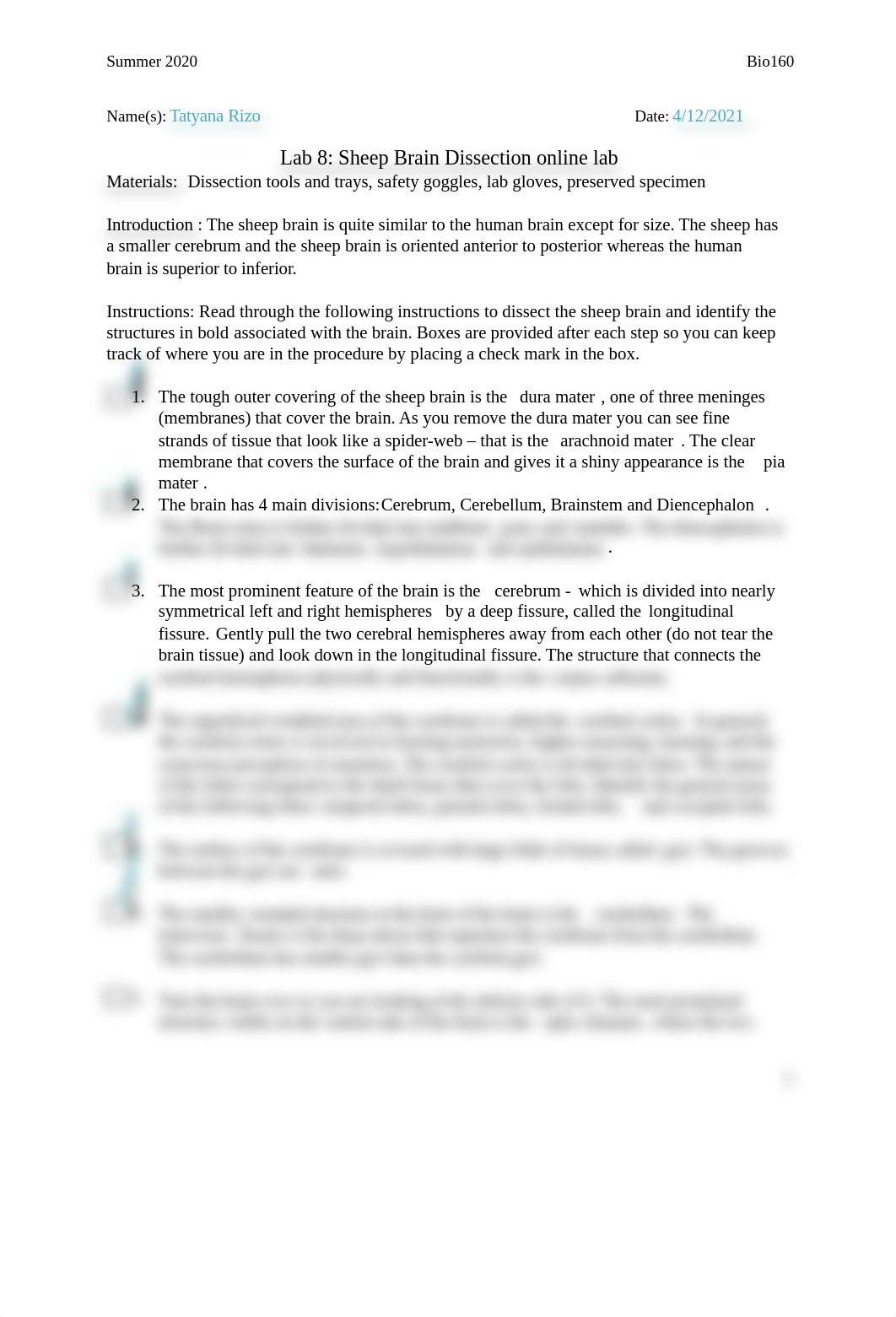 Lab 8. Sheep Brain Dissection.docx_dz4lqlvl7fx_page1