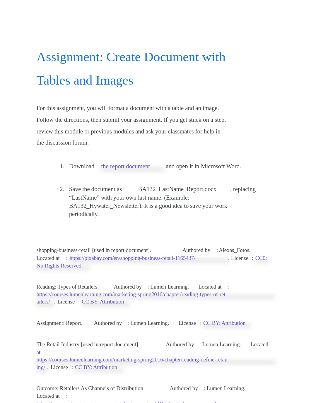 05 Assignment: Create Document with Tables and Images.pdf_dz4tkxnch4z_page1