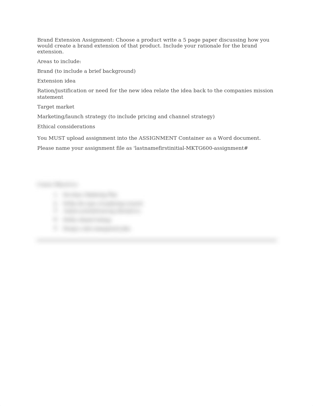 Marketing 600 assignment 3 directions.docx_dz5fdfvv8dh_page1