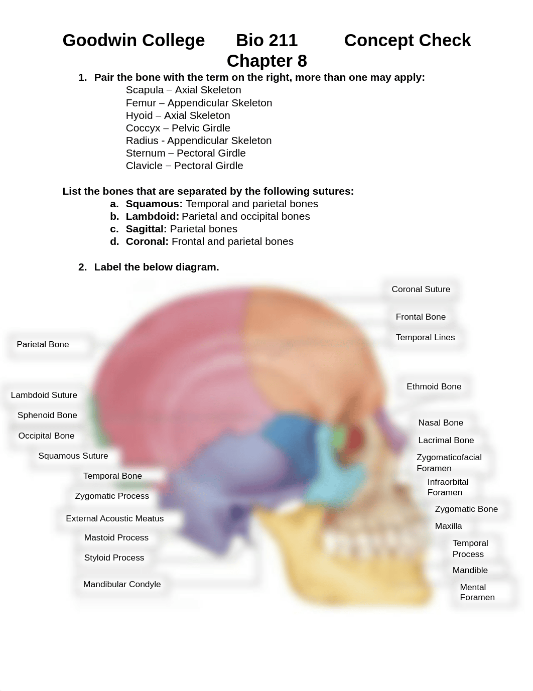 Chapter 8 Concept Check.pdf_dz5odbbmsot_page1