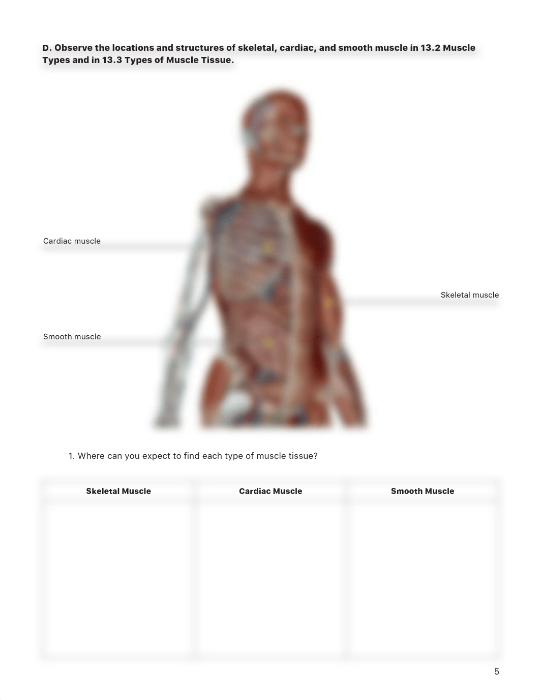 Head and Neck Muscles (2) worksheet 80.pdf_dz68ncuko4n_page5