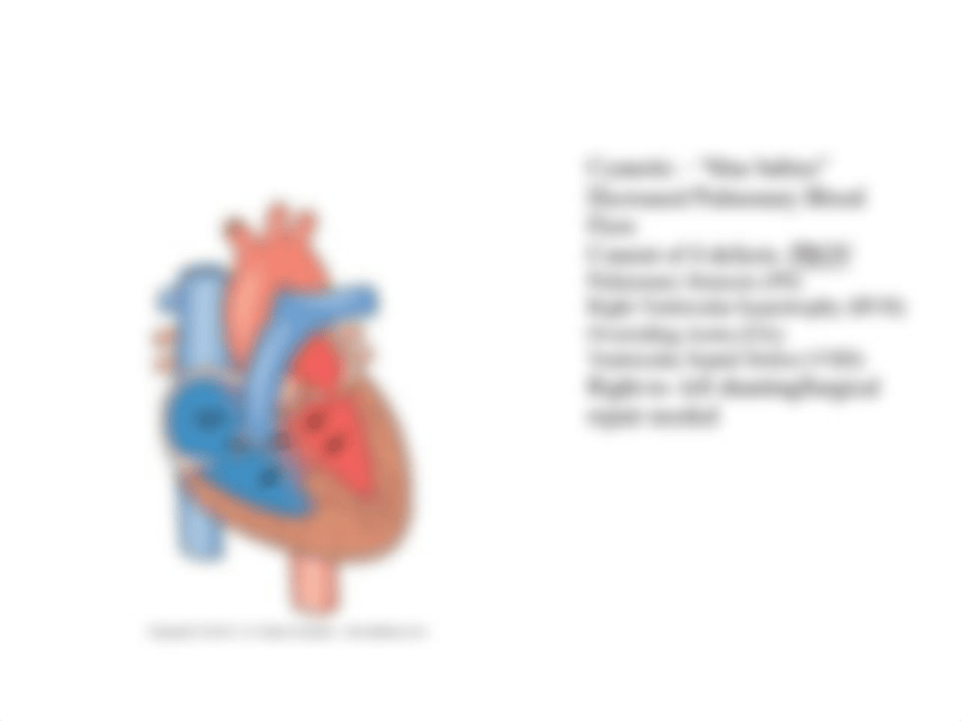 cong heart flashcards pediatrics.pptx_dz6dt7ya1ey_page5