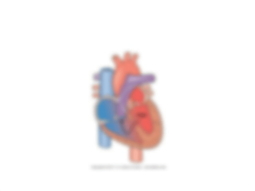 cong heart flashcards pediatrics.pptx_dz6dt7ya1ey_page3