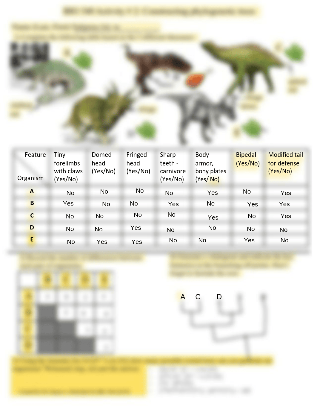 BIO 340 Activity #2 2019.pdf_dz6i70yljgr_page1