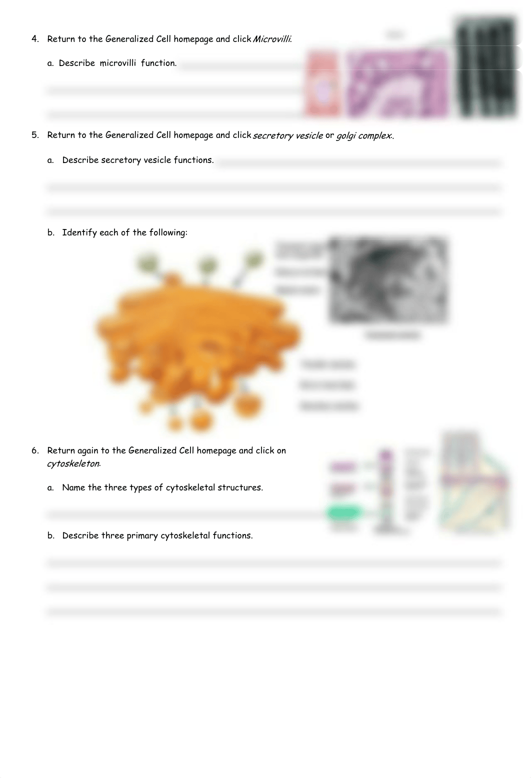 cell_struc_dz6qibeyoap_page3