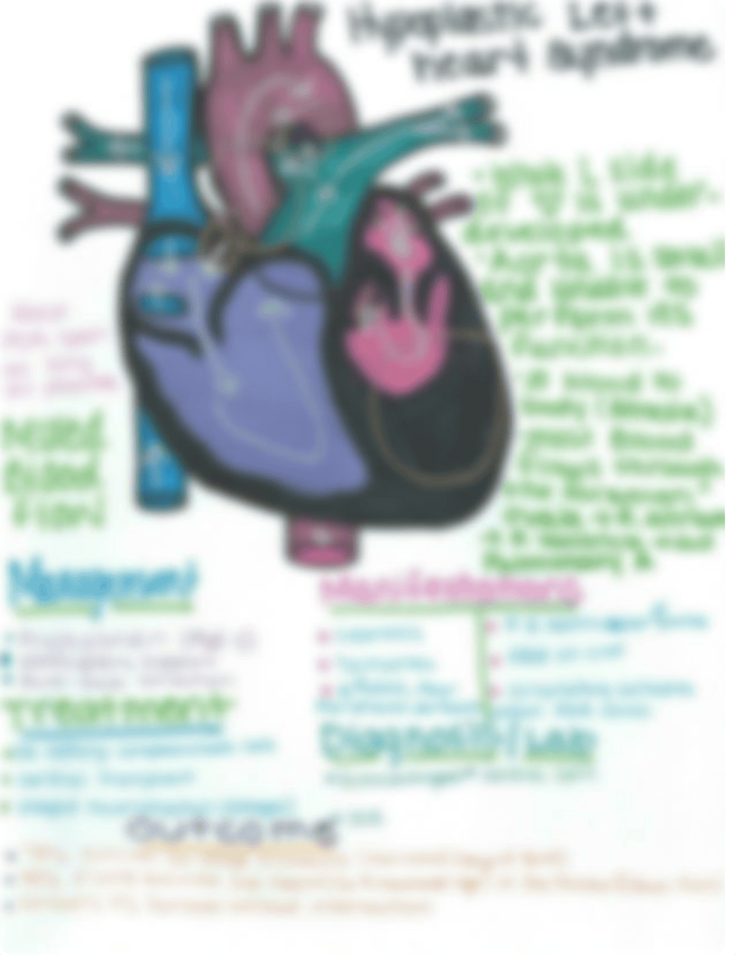 hypoplastic left heart syndrome_dz6th68glaa_page1