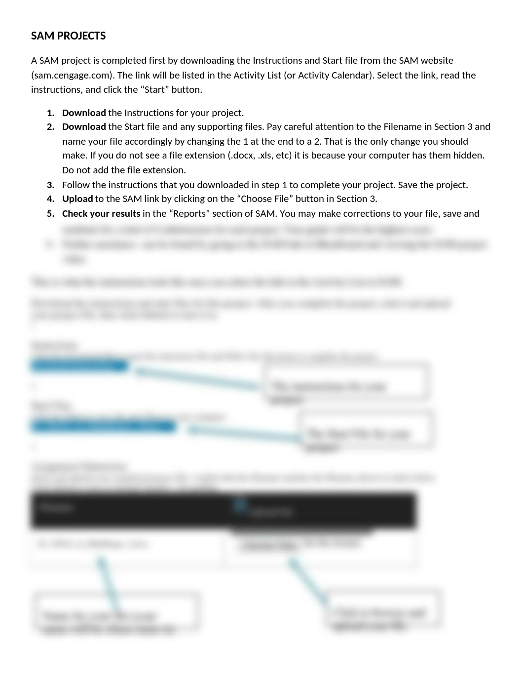 SAM PROJECT Instructions.docx_dz72syn1gfw_page1