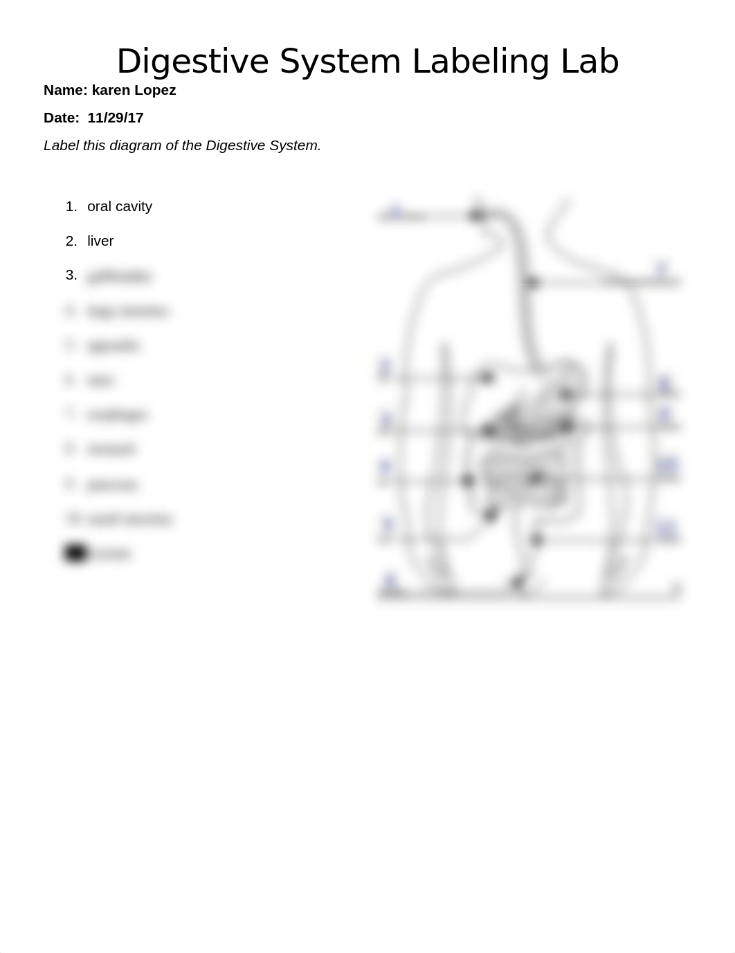 Digestive System Labeling Lab.docx_dz76tegnrit_page1