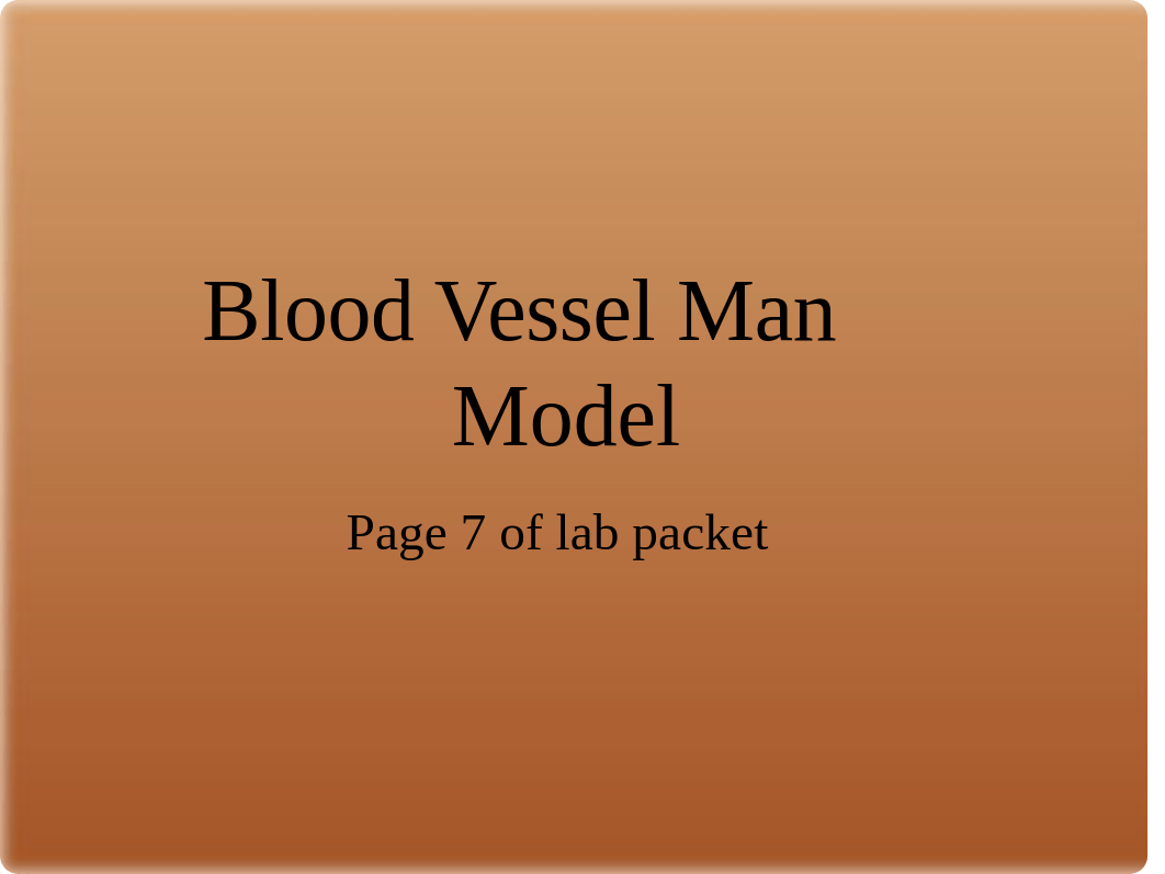 04 Lab Exercise - Blood Vessels.pptx_dz79ycpumrs_page1