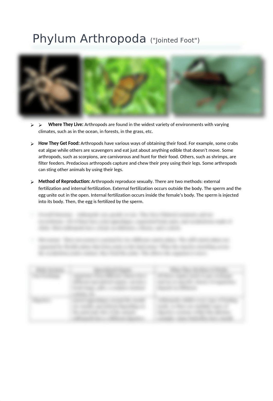 Phylum Arthropoda (COMPLETE)_dz7ix713sxt_page1